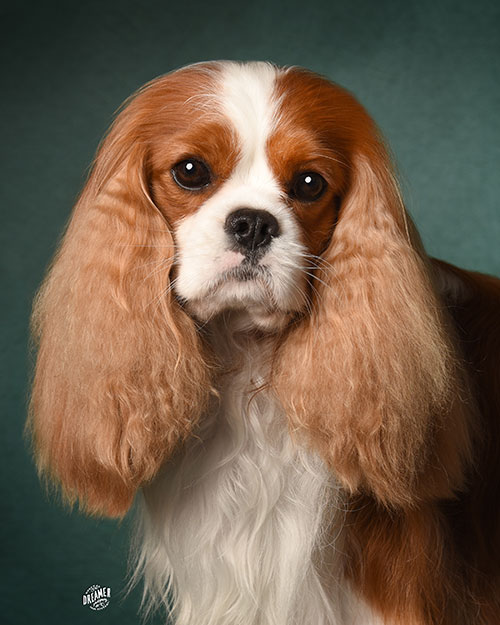 Benson