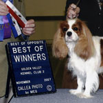 Lily winning BOW handled by Taffe McFadden